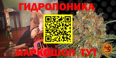 мдма Будённовск