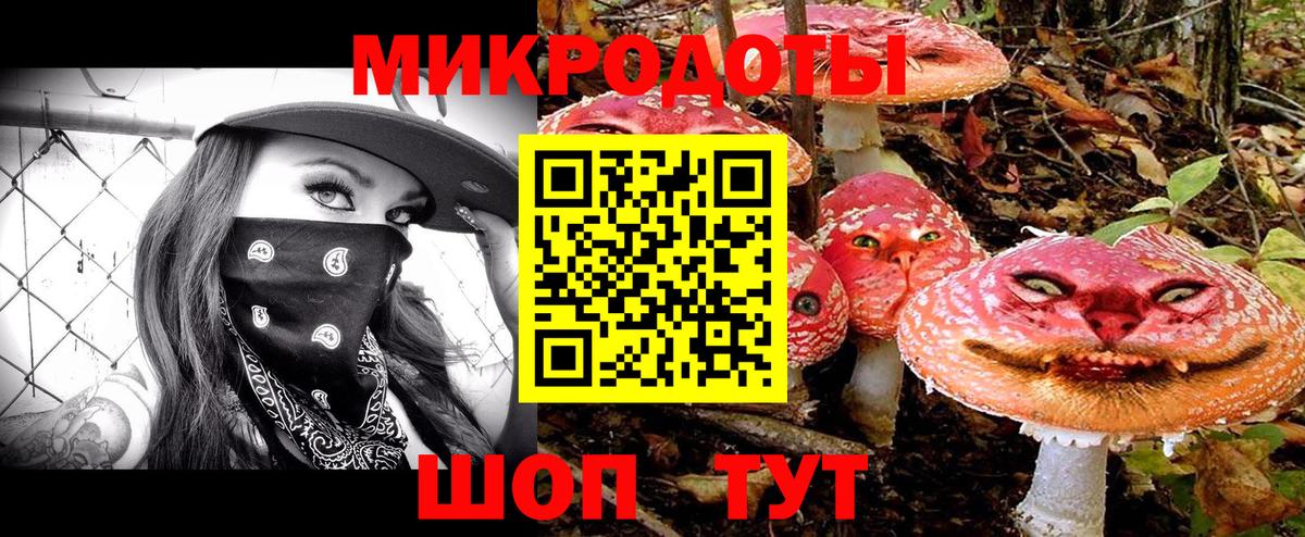 Псилоцибиновые грибы Psilocybine cubensis  Вход с VPN  Тында 
