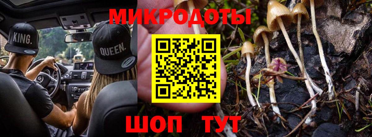 Псилоцибиновые грибы прущие грибы Тында